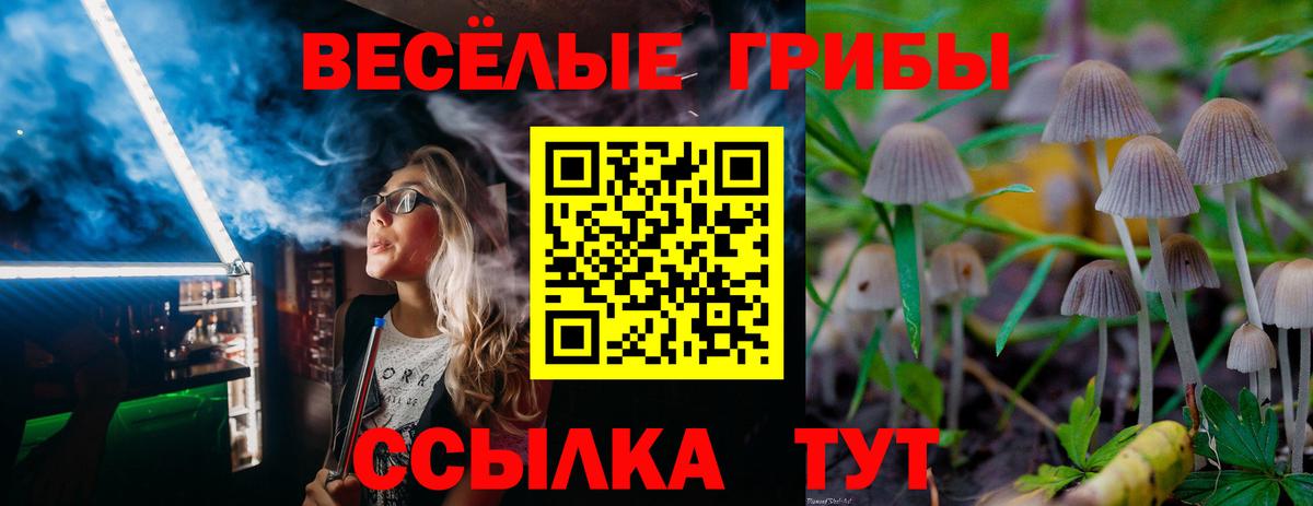 Галлюциногенные грибы Magic Shrooms Сердобск