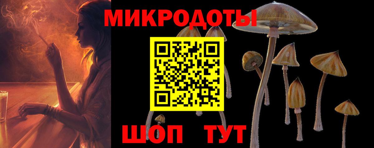 Сердобск  Галлюциногенные грибы GOLDEN TEACHER  Псилоцибиновые грибы Psilocybine cubensis  Вход с VPN 